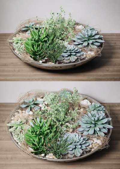 现代多肉盆栽3D模型下载